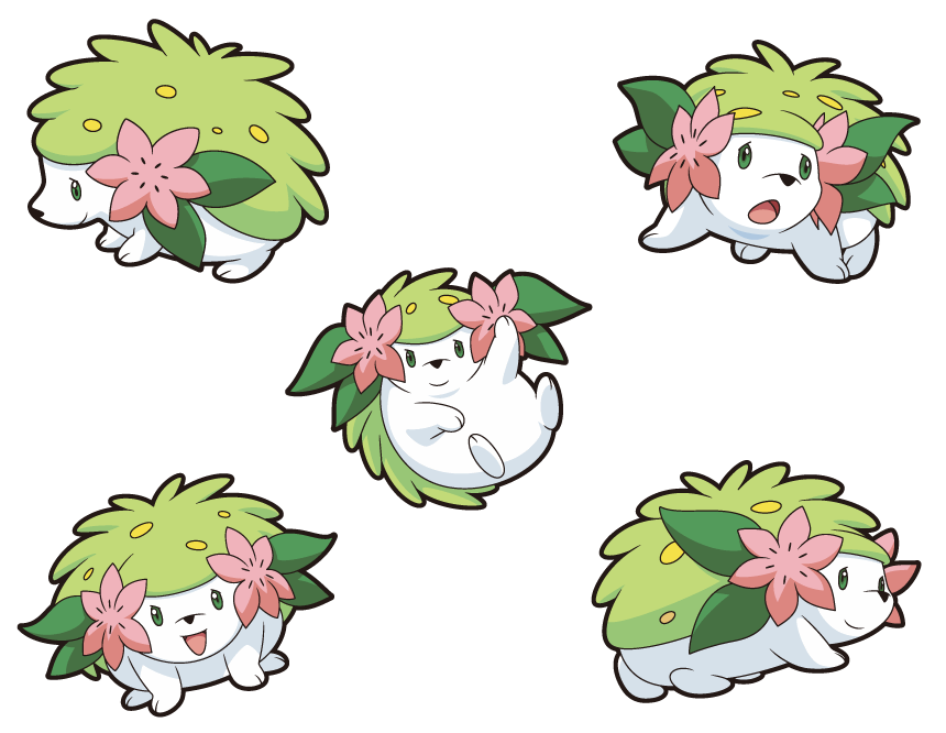Comment Aller A La Route 224 Pokemon Diamant Etincelant pokemon